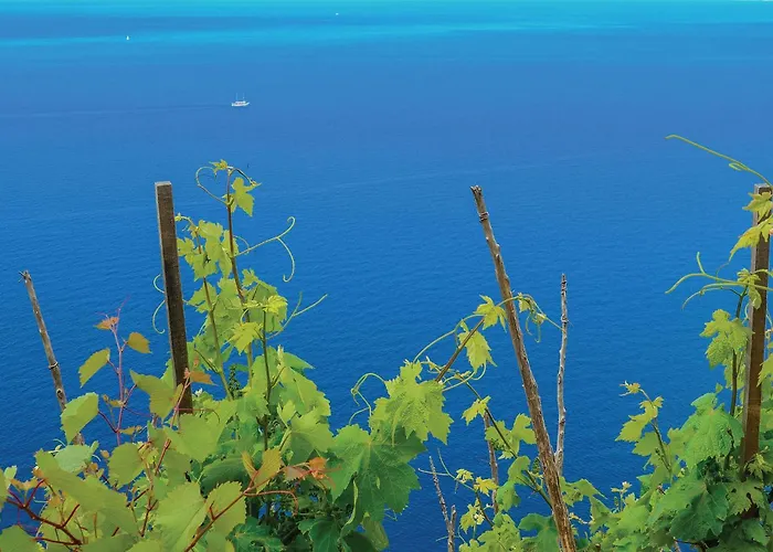 Hébergement de vacances With Sea View I Osobjava