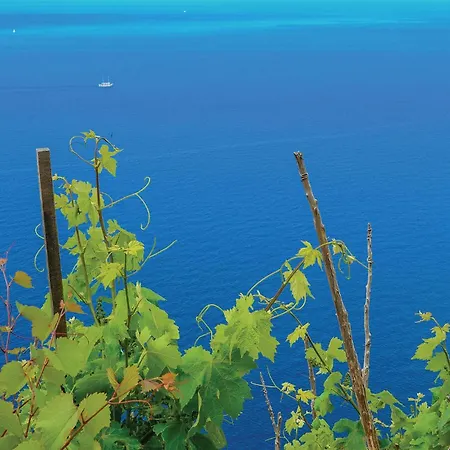 Σπίτι διακοπών Osobjava With Sea View I Osobjava